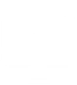 Design Process Icon